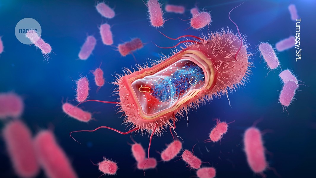 Desvendado o Cimento da Armadura Bacteriana: Um Novo Alvo na Guerra Contra Superbactérias