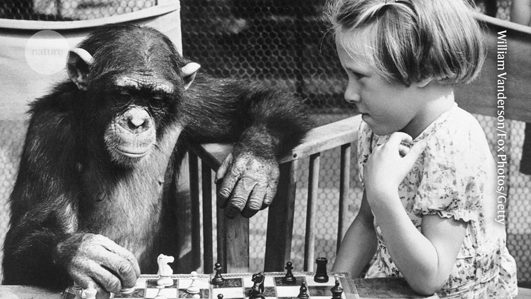 A Invenção da Superioridade Humana: Como Uma Ideia Moldou Nosso Destino Planetário