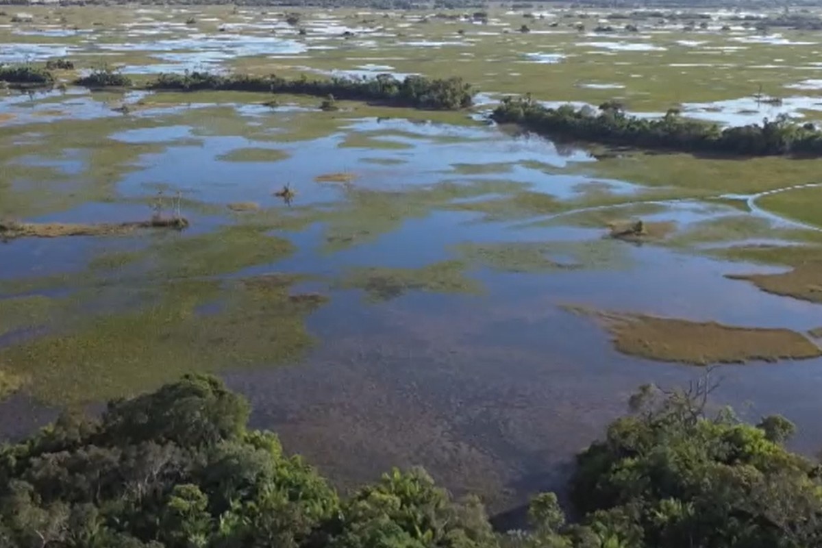 Censo Agropecuário 2027: Por Que Corumbá é o Epicentro do Teste que Moldará o Futuro do Agronegócio Brasileiro