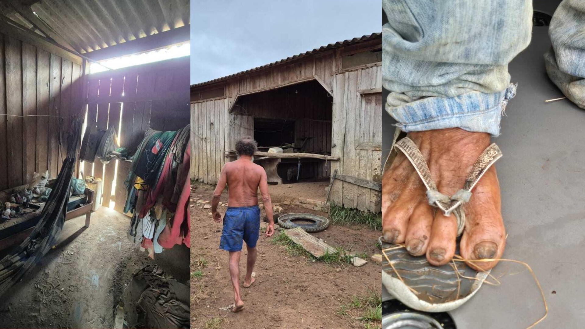 Amazônia Profunda: O Resgate que Desvenda a Escravidão Moderna no Pará e seu Custo Social