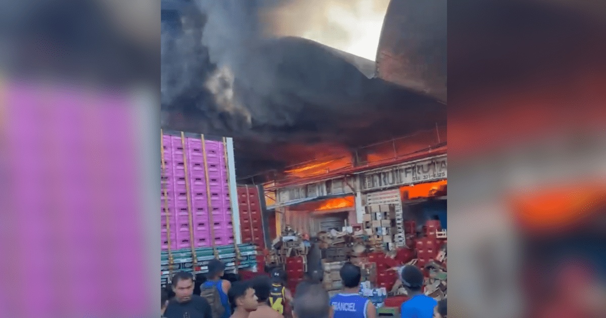 Incêndio na Ceasa-RJ: Além das Chamas, um Alerta para a Segurança Alimentar e Economia Carioca