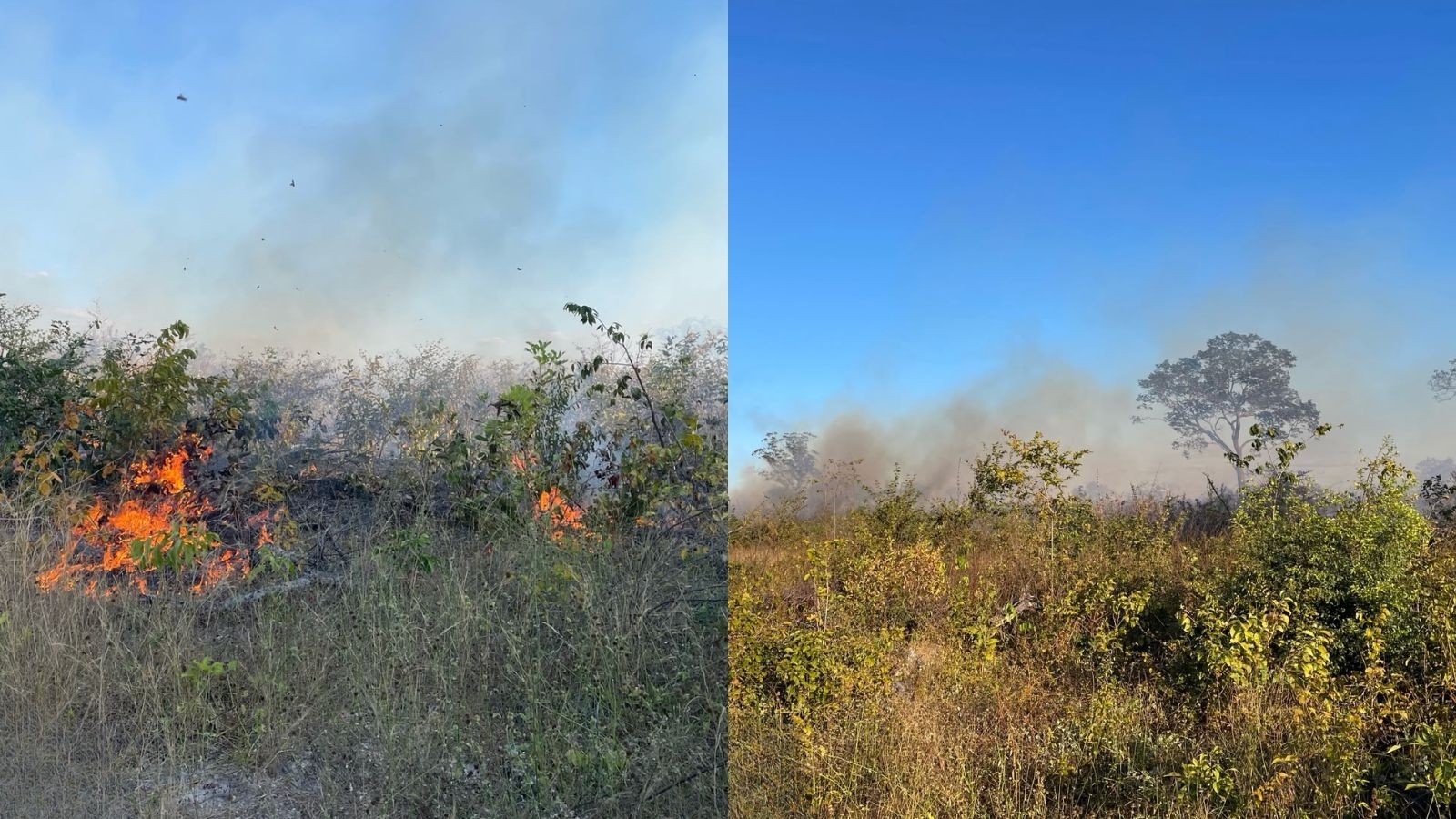 Incêndio Prolongado no Piauí: Uma Análise da Fragilidade Ambiental e Fiscalizatória na Região