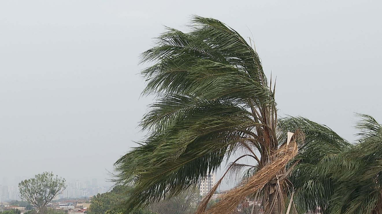 Vendavais no Rio Grande do Norte: Desvendando o Alerta Amarelo e Seus Efeitos Velados na Rotina Potiguar