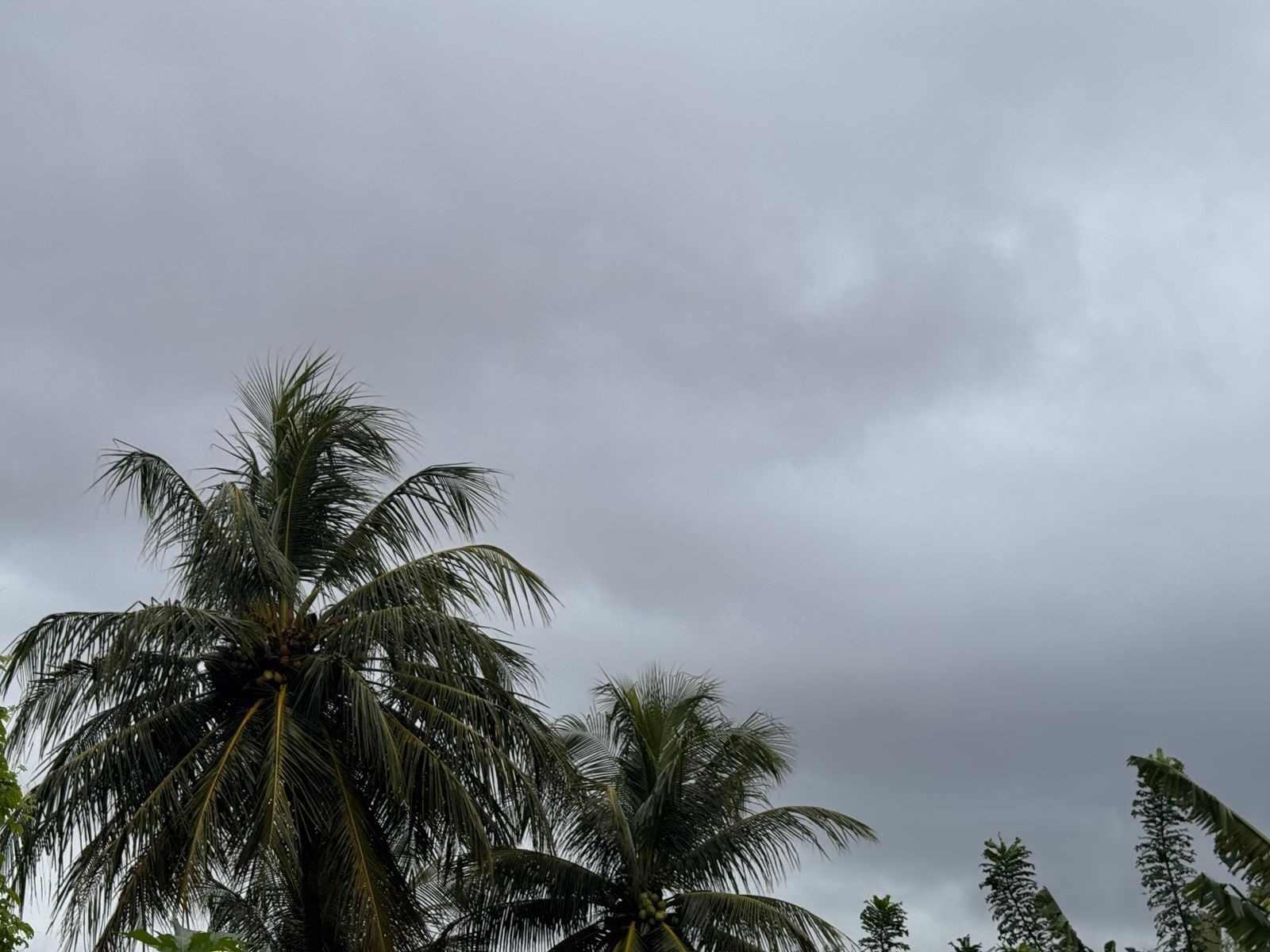 Chuvas Intensas no RN: A Decodificação de um Alerta e Seus Efeitos na Resiliência Regional