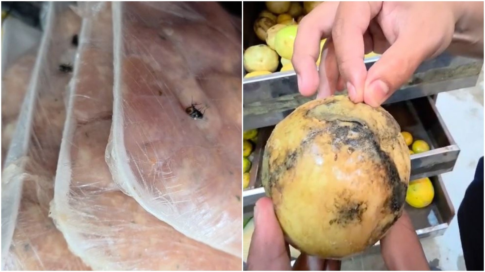 Fiscalização do Procon Ceará Desvenda Crise Sanitária em Supermercados Litorâneos: Implicações para Consumidores e Economia Regional