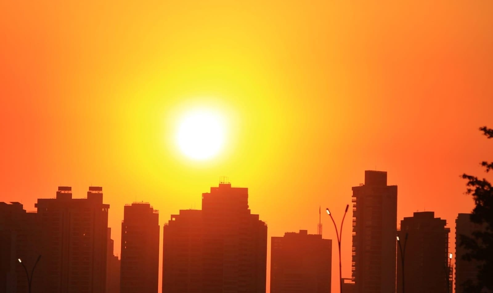 El Niño Transforma o Inverno Goiano: Análise dos Desafios e Oportunidades Regionais
