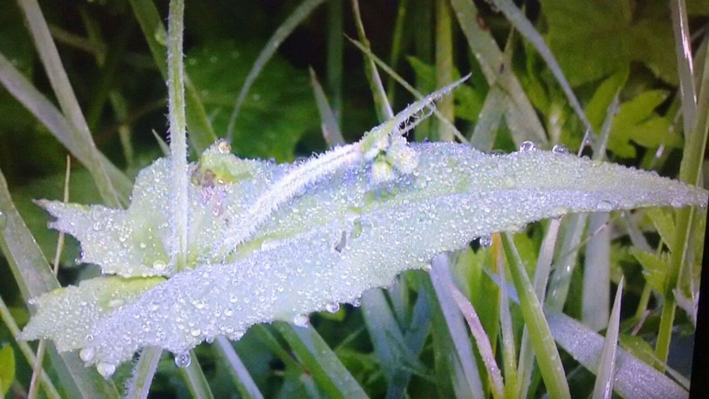 Onda de Frio Recorde Ameaça Mato Grosso do Sul: O Que o Inverno Rigoroso de 2026 Significa para a Vida e Economia Local