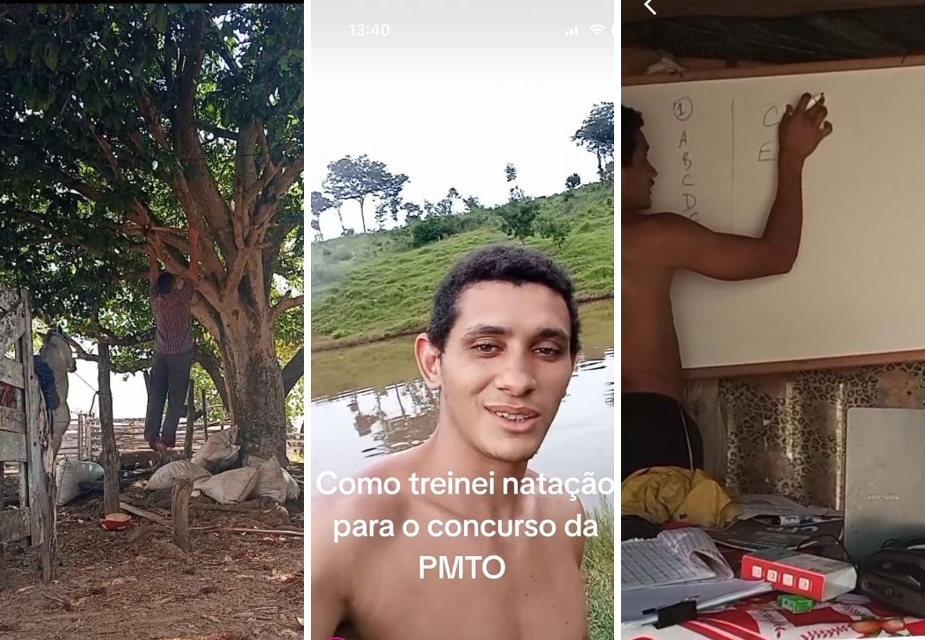 Resiliência no Sertão: A História Que Reafirma o Poder da Inovação Pessoal para o Concurso Público da PMTO
