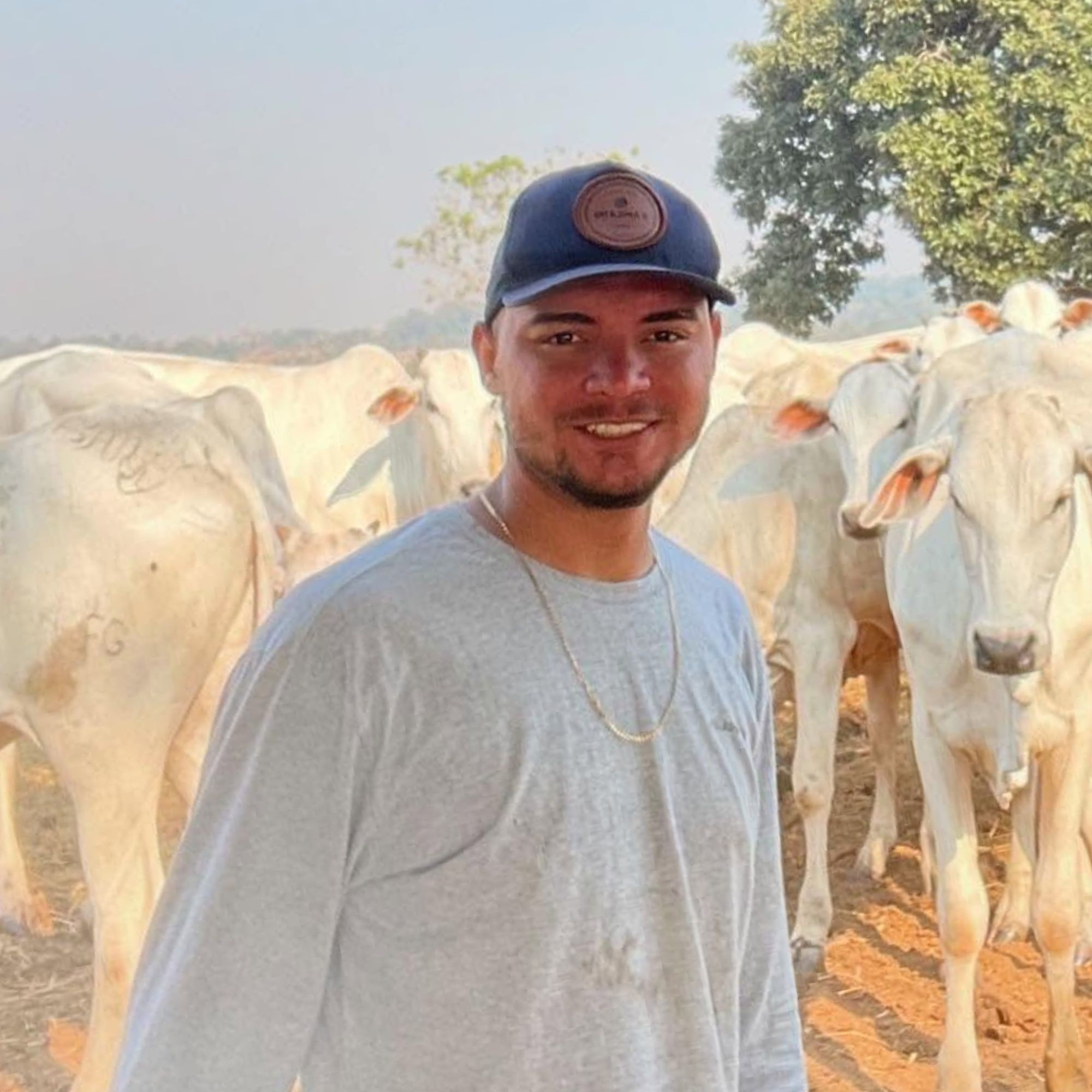 A Tragédia na BR-435: Reflexões Urgentes sobre Juventude, Vias e Políticas de Segurança em Rondônia