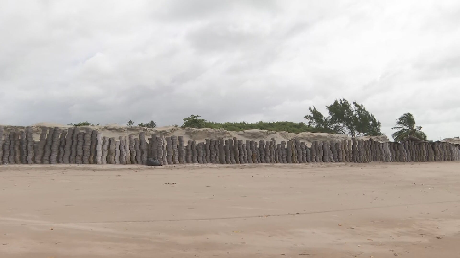 Pontal de Maracaípe: A Demolição do Muro e o Redesenho do Futuro Costeiro de Pernambuco
