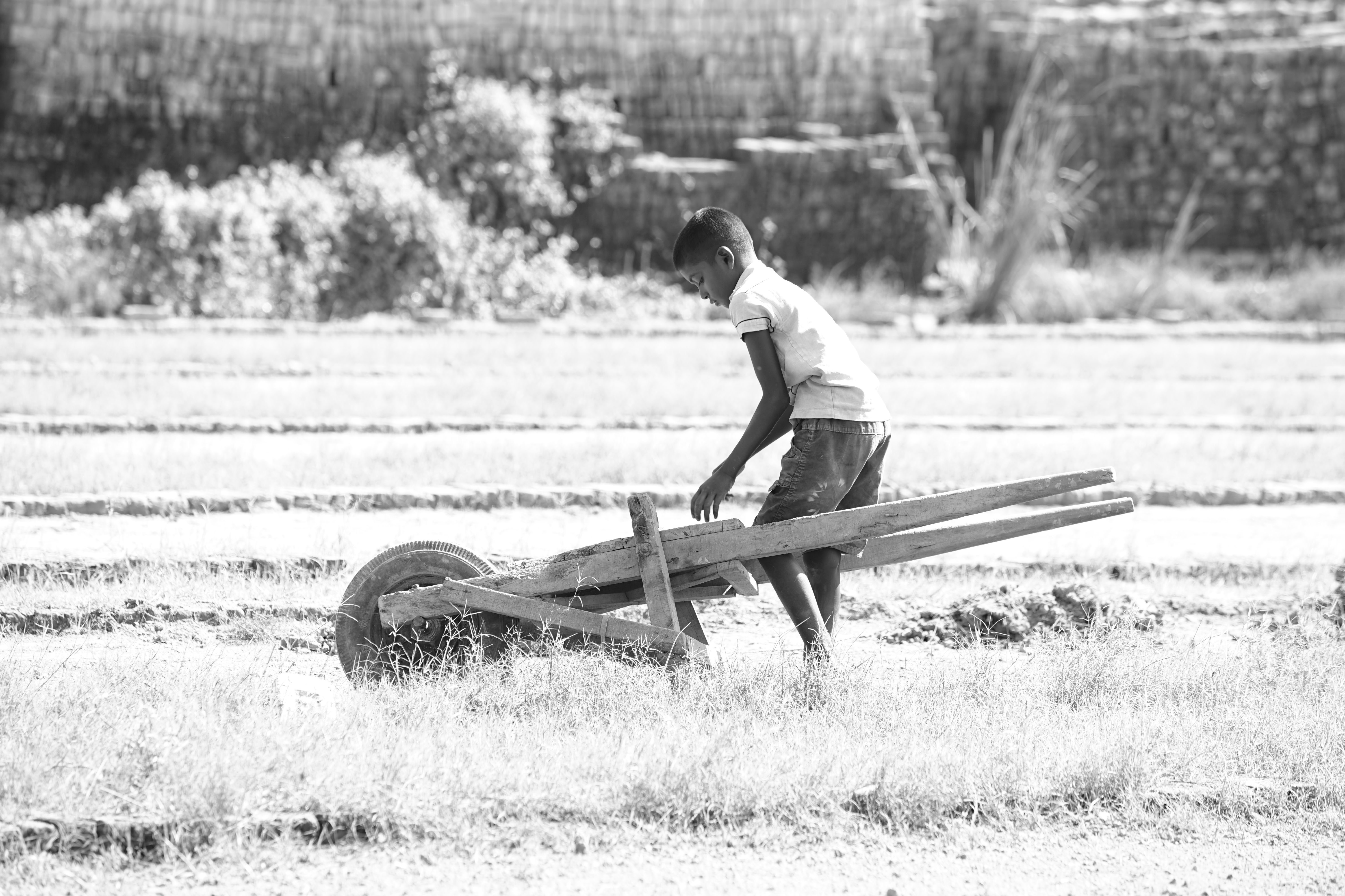 Justiça de Rondônia Reafirma Proteção Contra Exploração Infantil no Campo