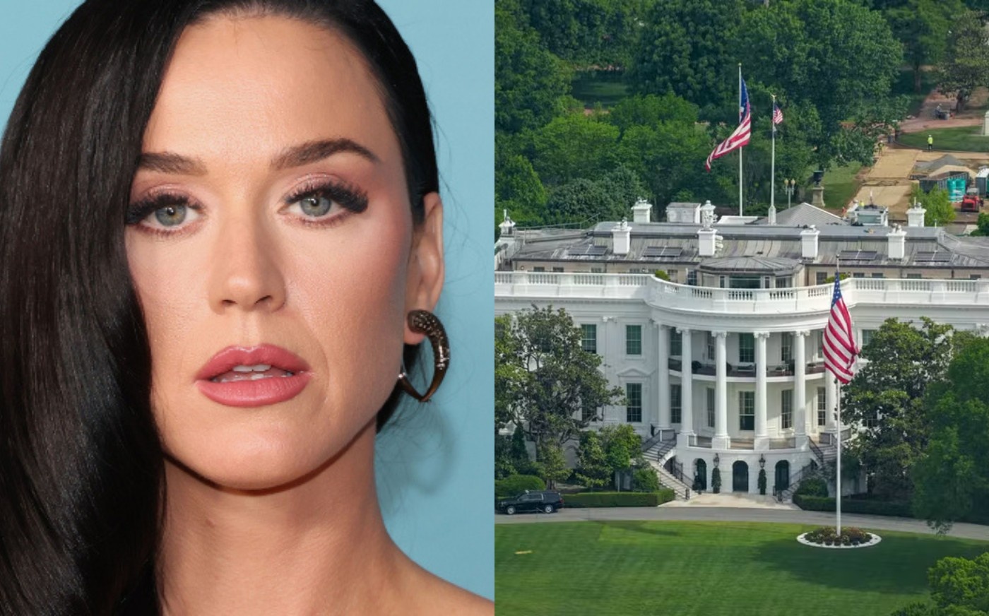 A Disputa entre Arte e Estado: O Caso Katy Perry e a Apropriação Cultural pela Casa Branca