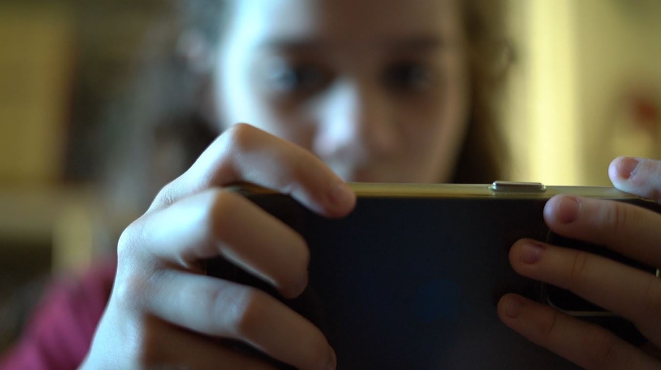 Decretos do ECA Digital: A Reconfiguração da Cidadania Online e o Papel do Estado na Era da Conectividade