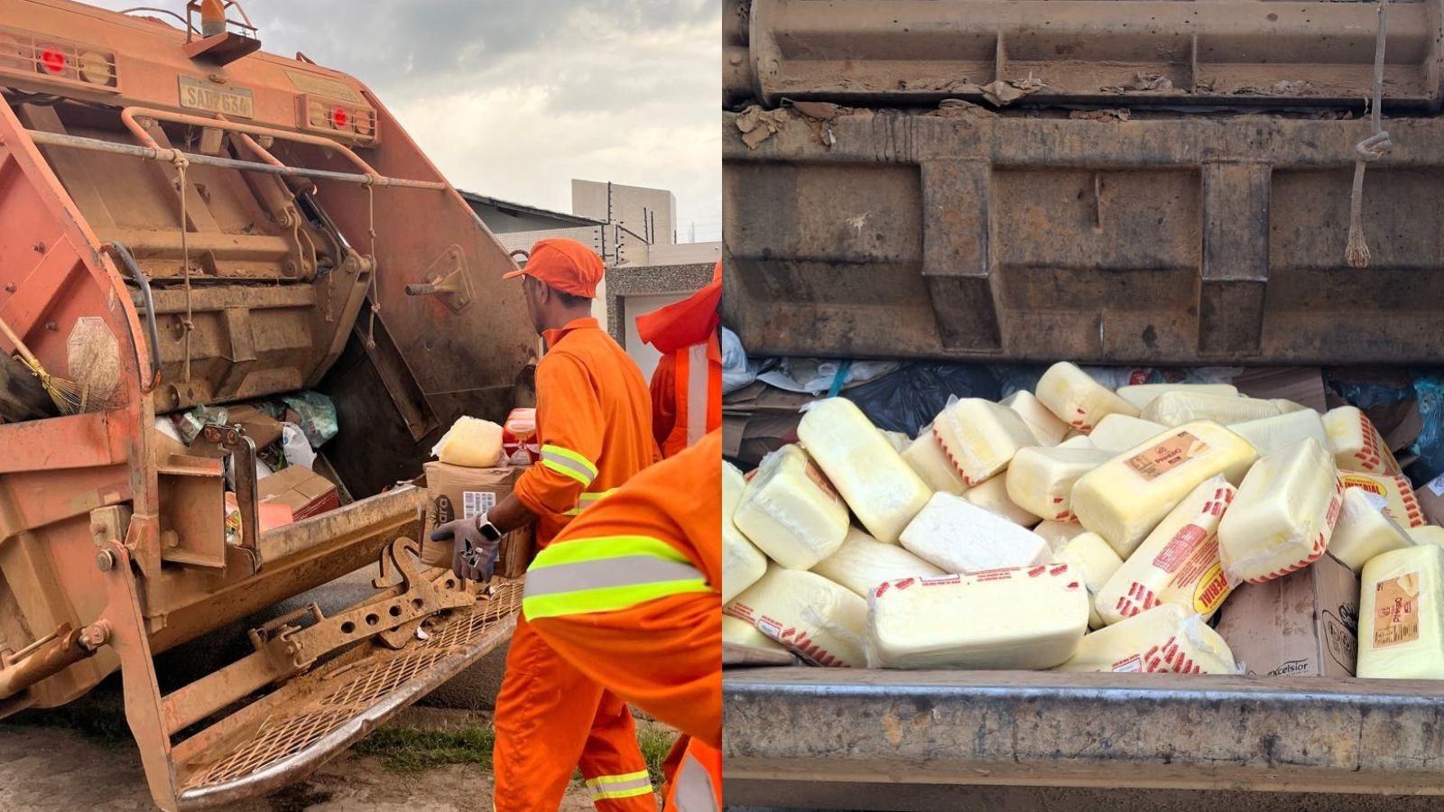Meia Tonelada de Queijo Descartada no Piauí: O Alerta Silencioso do Mercado Clandestino