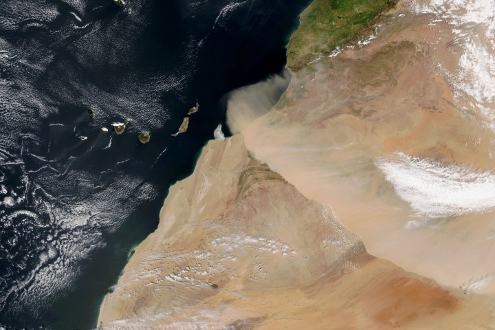 A Nuance Climática dos Ventos Harmattan: Além da Poeira, Uma Reconfiguração Planetária