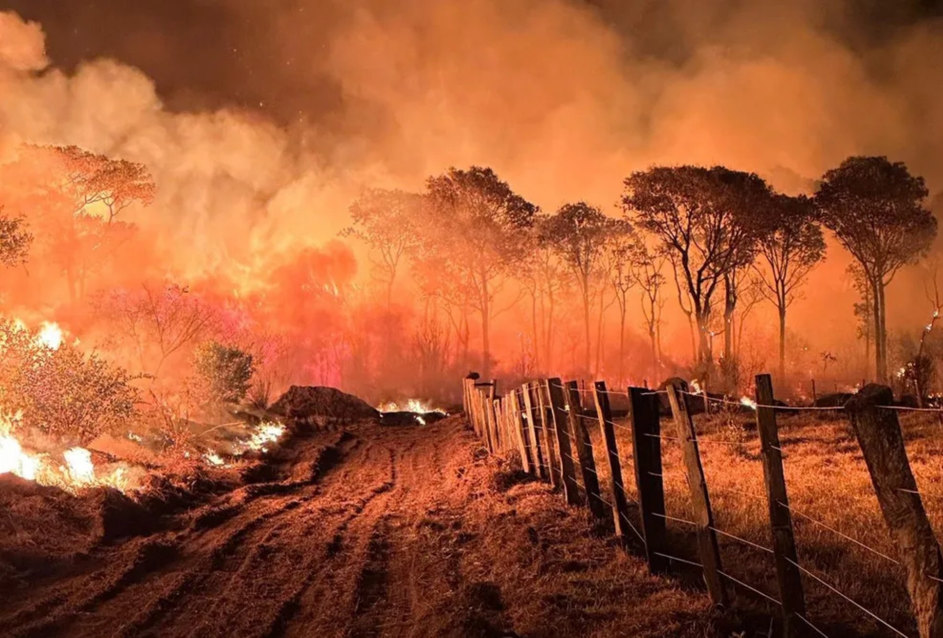 Mato Grosso do Sul Declara Emergência Ambiental: O Cenário Crítico dos Incêndios e Seus Reflexos Regionais