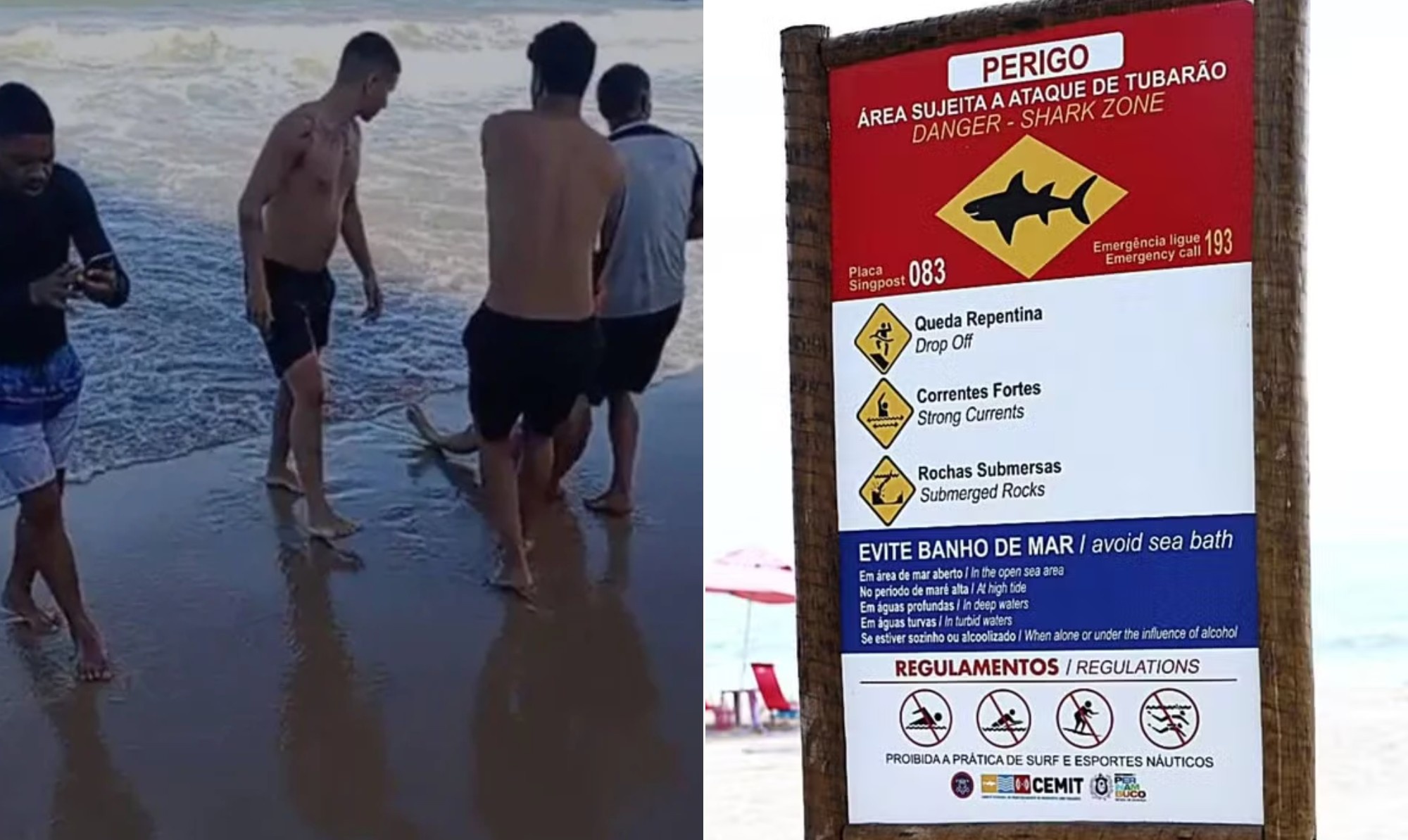 Recife em Alerta: O Custo Oculto da Crise Ambiental Marinha e seus Reflexos Sociais