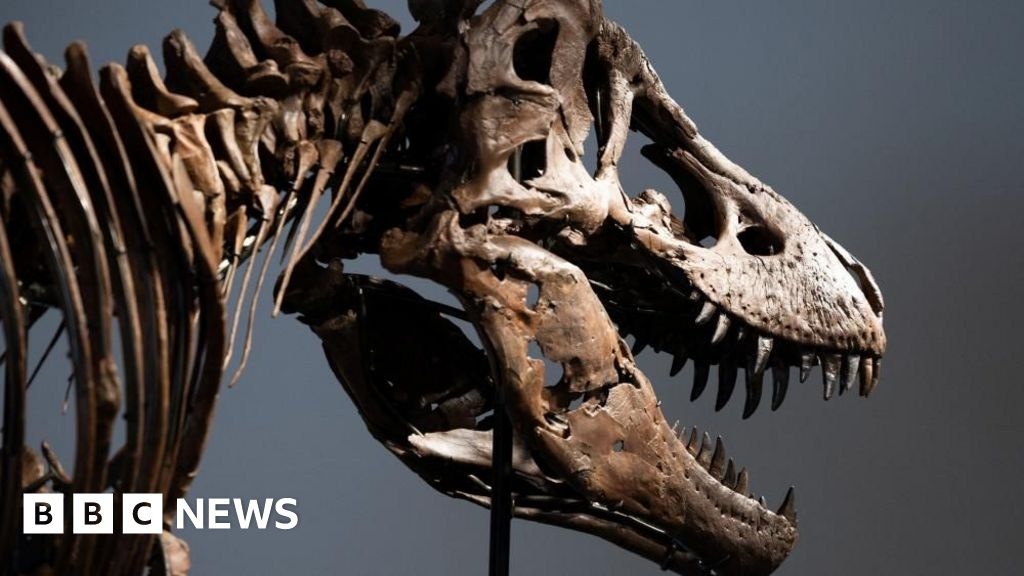 A Venda Milionária do T-Rex 'Gus': Um Alerta para a Ciência Global e o Acesso ao Conhecimento