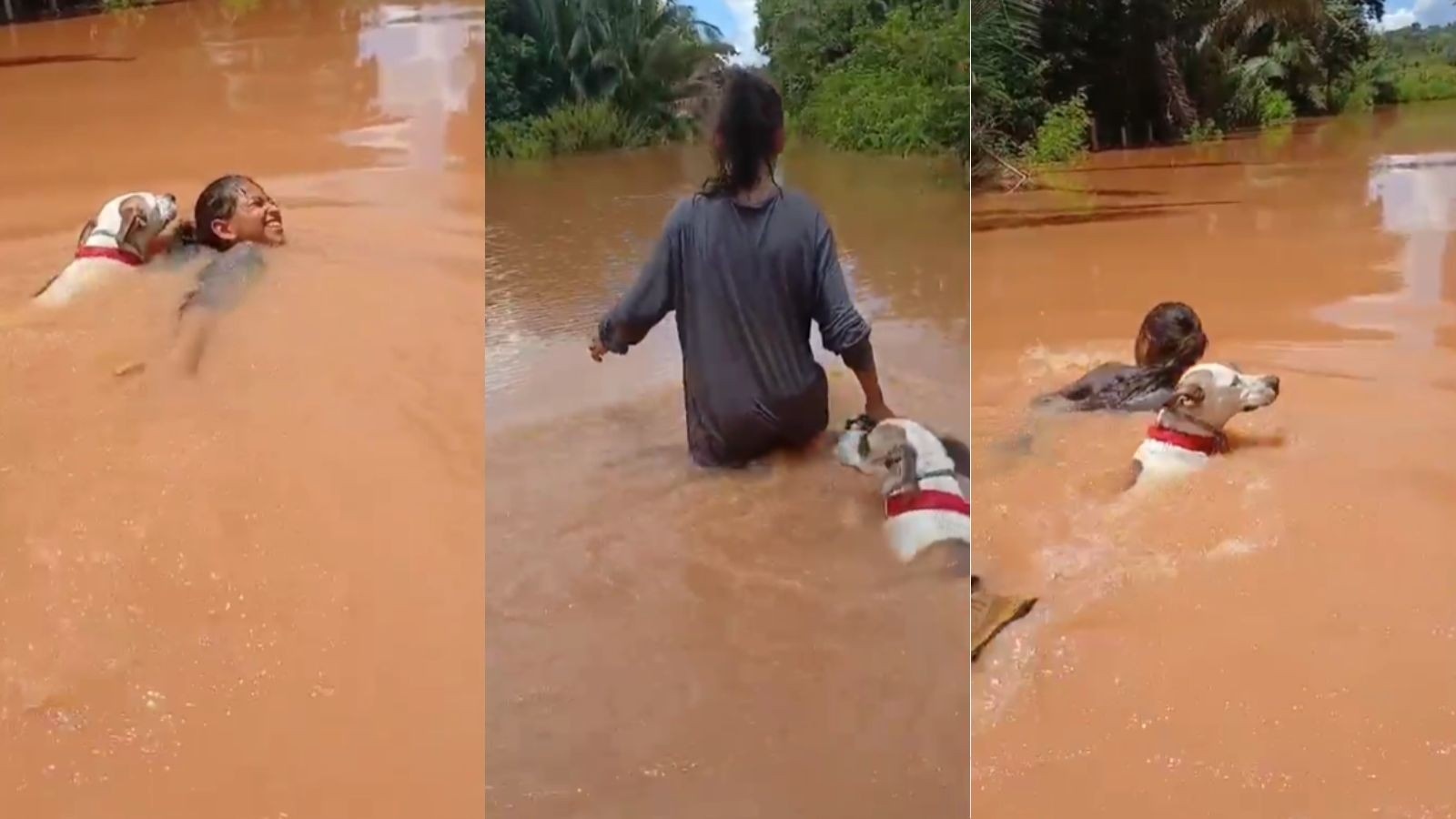 Uruçuí: A Travessia de Jhenyfer e o Desafio Silencioso da Infraestrutura Rural Piauiense