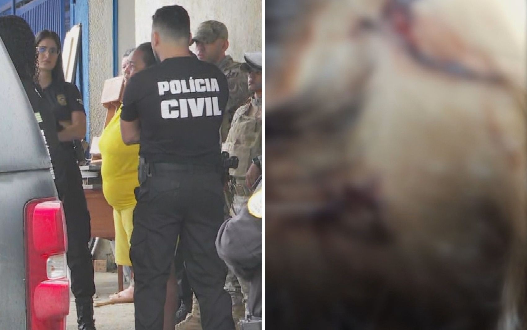 A Tragédia de Aparecida de Goiânia: Um Espelho da Vulnerabilidade Infantil e a Crise da Confiança em Cuidadores