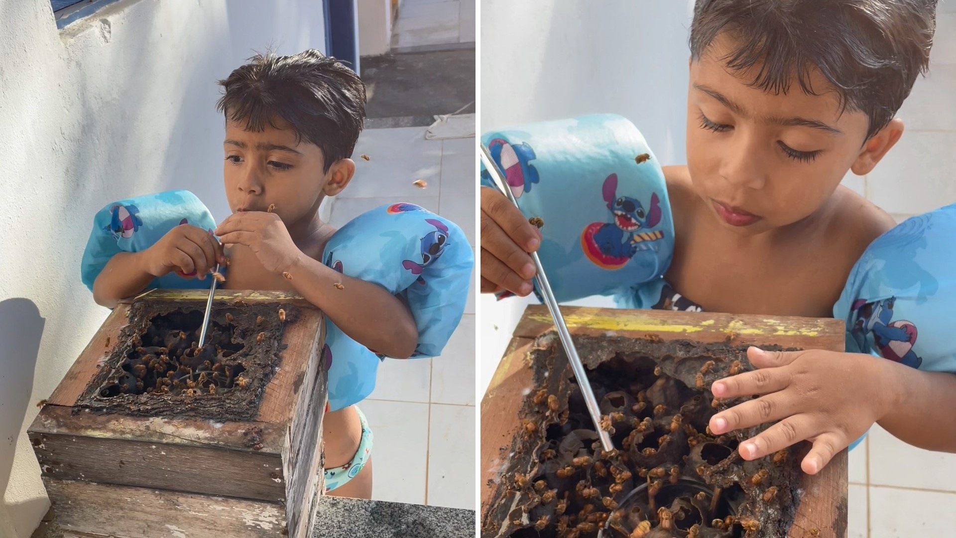 Anchieta e a Ressignificação da Infância: Além do Vídeo Viral, um Elo Profundo com a Natureza Capixaba