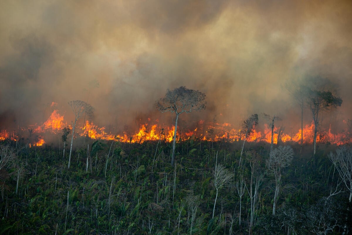 Pará se Prepara: MP Articula Defesa Contra Queimadas Severas em 2026 sob Alerta de El Niño