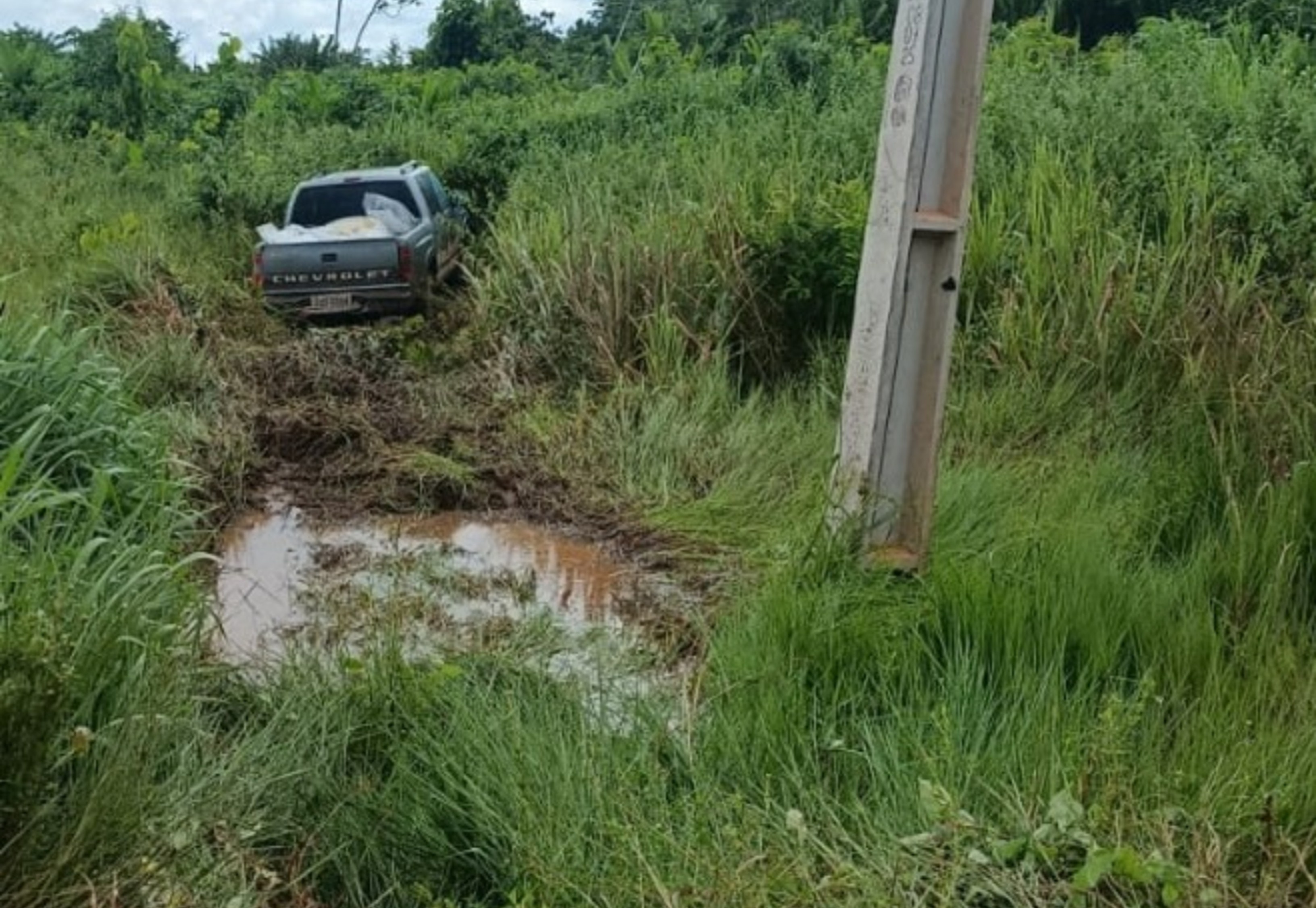 A Tragédia Diária nas BRs: Fuga e Omissão de Socorro em Rorainópolis Revelam Desafios da Segurança Viária