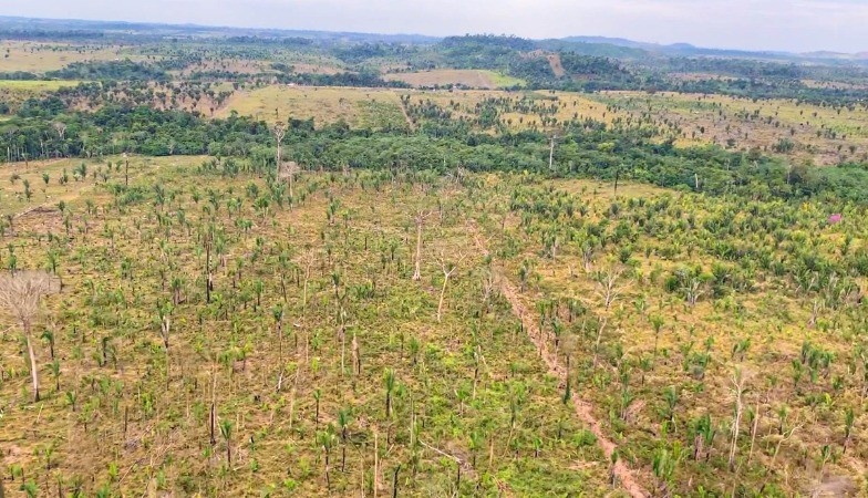 A Amazônia sob Ataque: MP-RO Exige R$ 90 Milhões por Devastação Recorde em Machadinho do Oeste