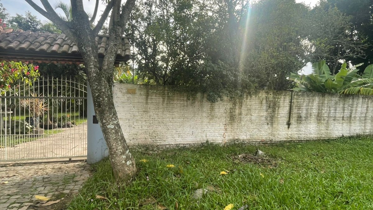 Feminicídio em Porto Alegre: A Tragédia da Zona Sul e o Alerta para a Crise Silenciosa