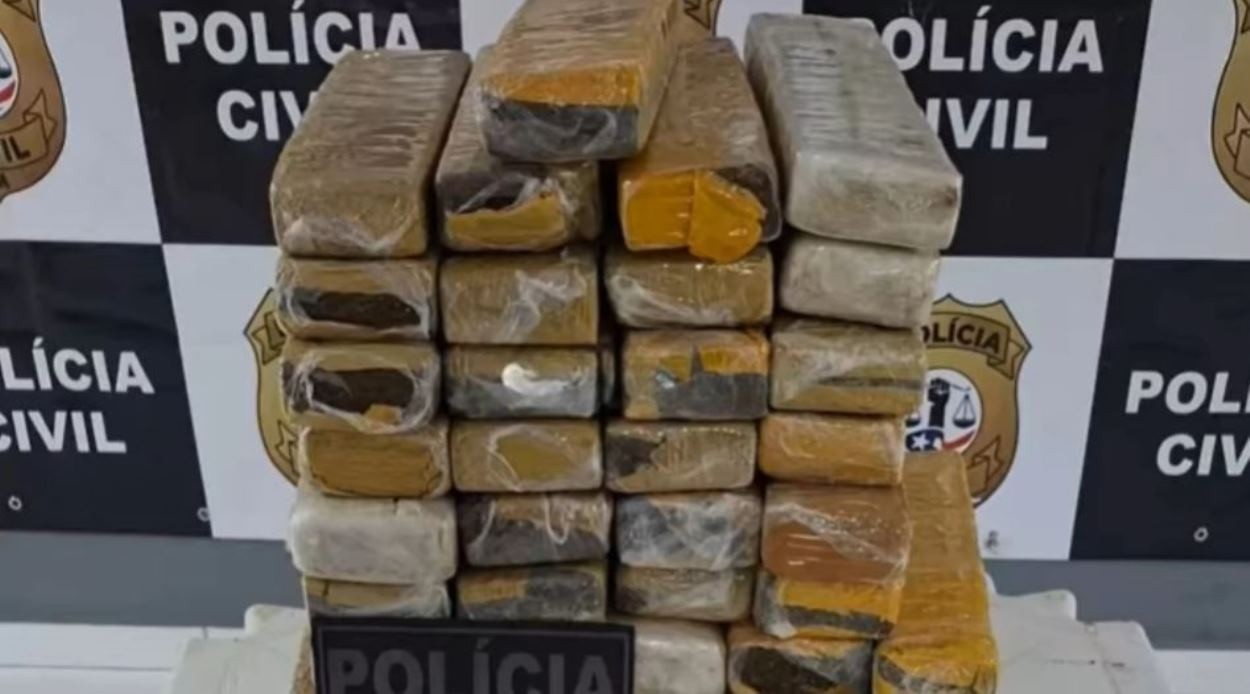Apreensão de 35 kg de Maconha em Apicum-Açu Revela a Persistência das Rotas do Tráfico no Maranhão