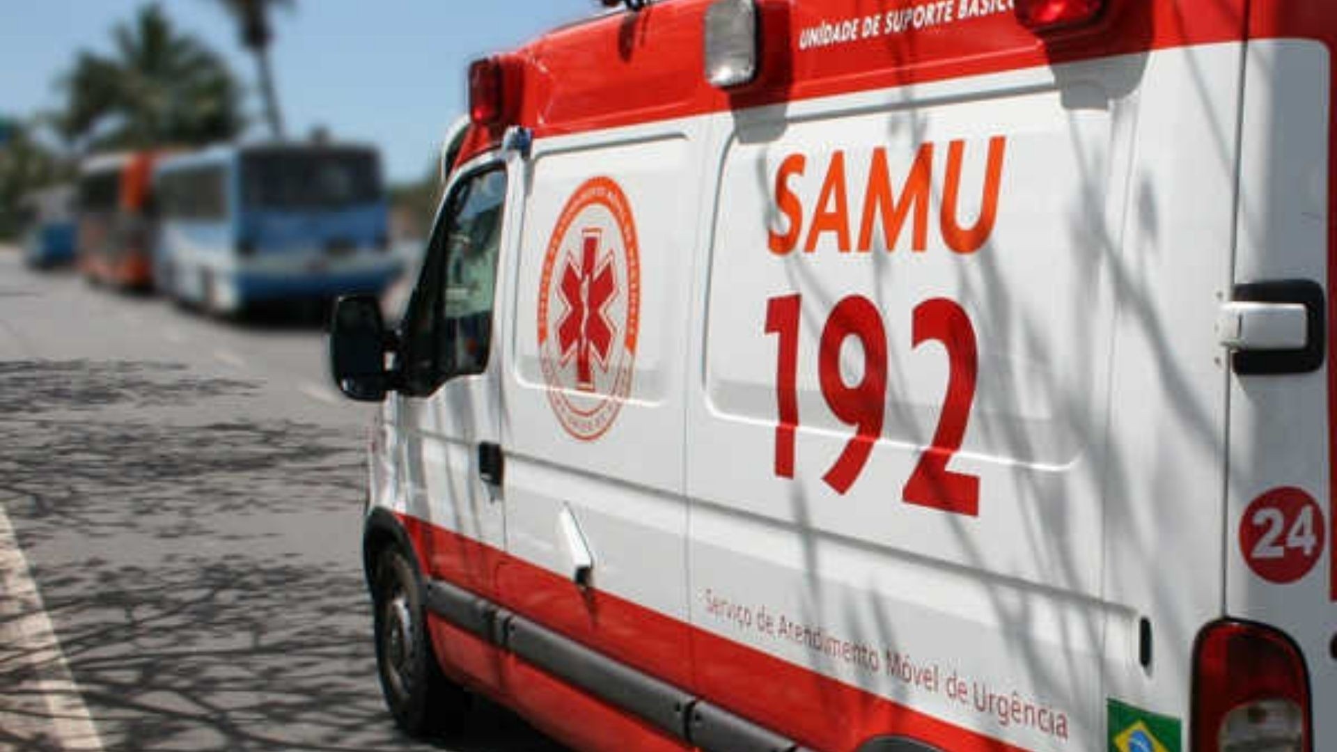 Violência Doméstica em Cariacica: Além da Lesão Corporal, o Alerta Social