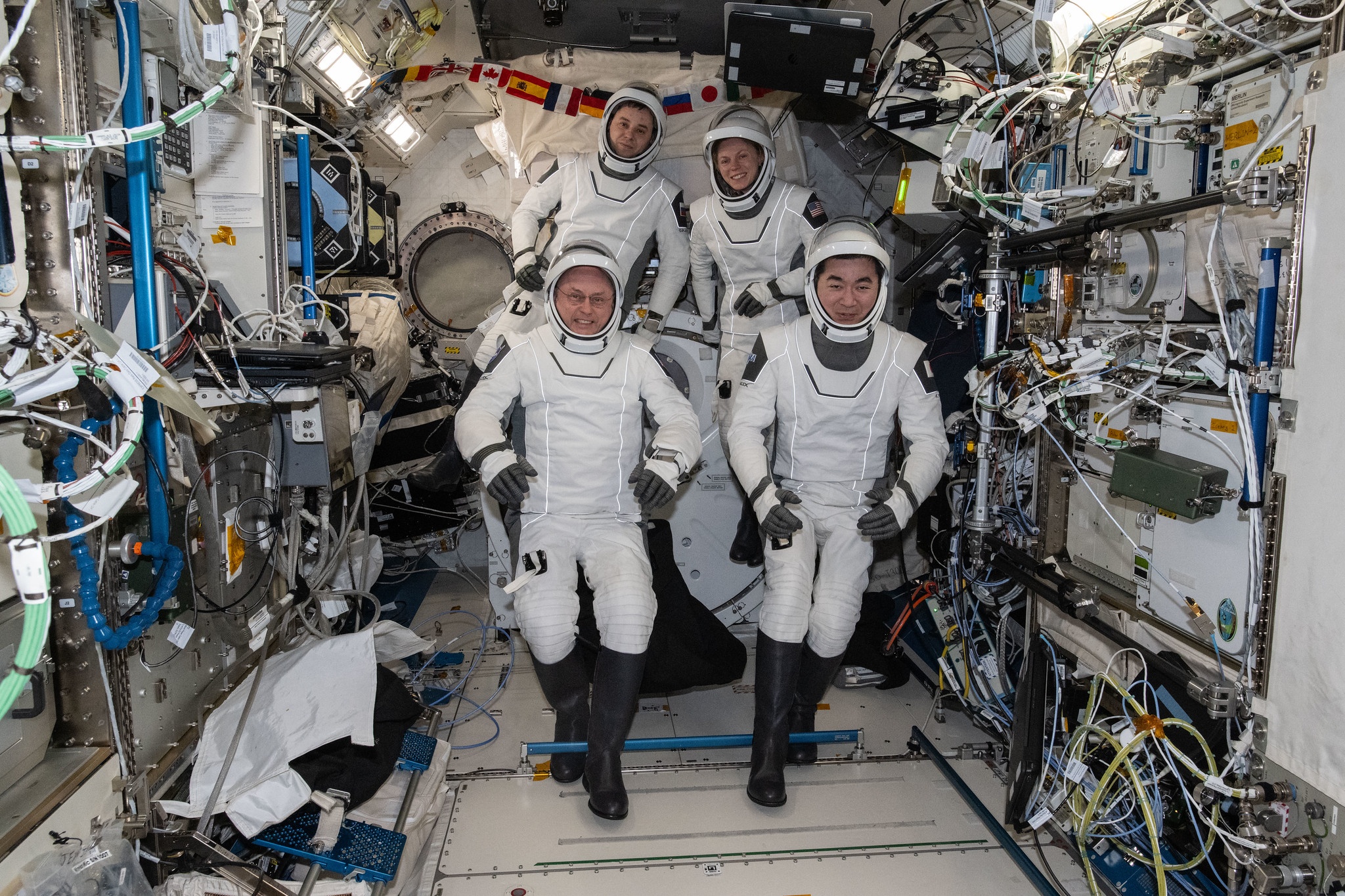 A Análise Pós-Missão Crew-11: Desvendando o Futuro da Ciência Espacial na Terra e Além