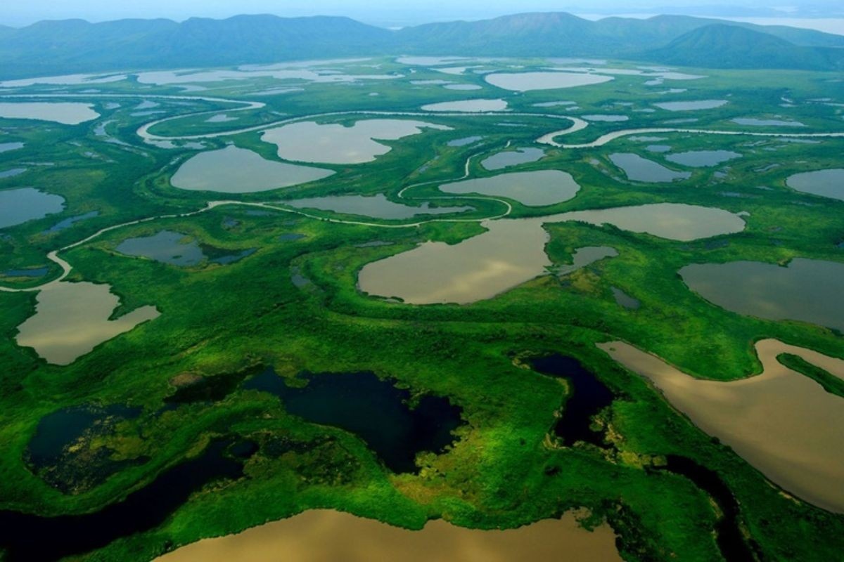 Pantanal e Cerrado: A Estratégia Política Por Trás da Ampliação de Áreas Protegidas