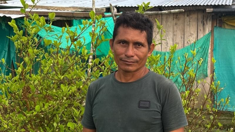 A Colômbia e a Amarga Colheita da Desilusão: O Retorno da Coca e Seus Ecos Globais