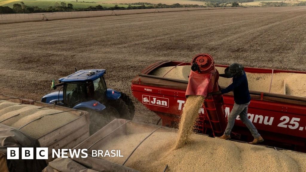 A Estratégia Chinesa de Soberania Alimentar e o Despertar do Agronegócio Brasileiro