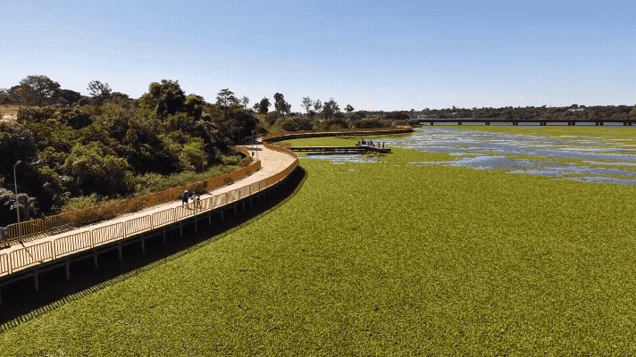 Lago Paranoá: A Complexidade do "Tapete Verde" e Suas Repercussões Naturais e Urbanas
