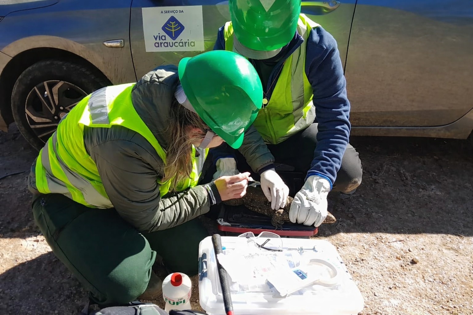 Avanço Rodoviário na Grande Curitiba Redefine Paradigmas de Sustentabilidade Regional