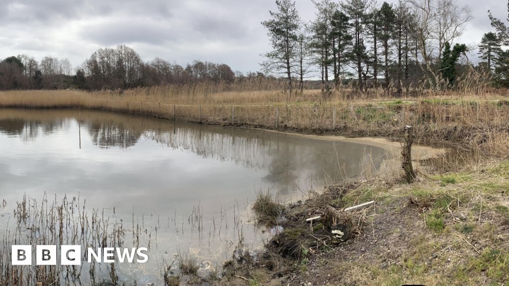 Corrosão Microbiológica: O Alto Custo Oculto da Infraestrutura e o Impacto em Ecossistemas Vitais