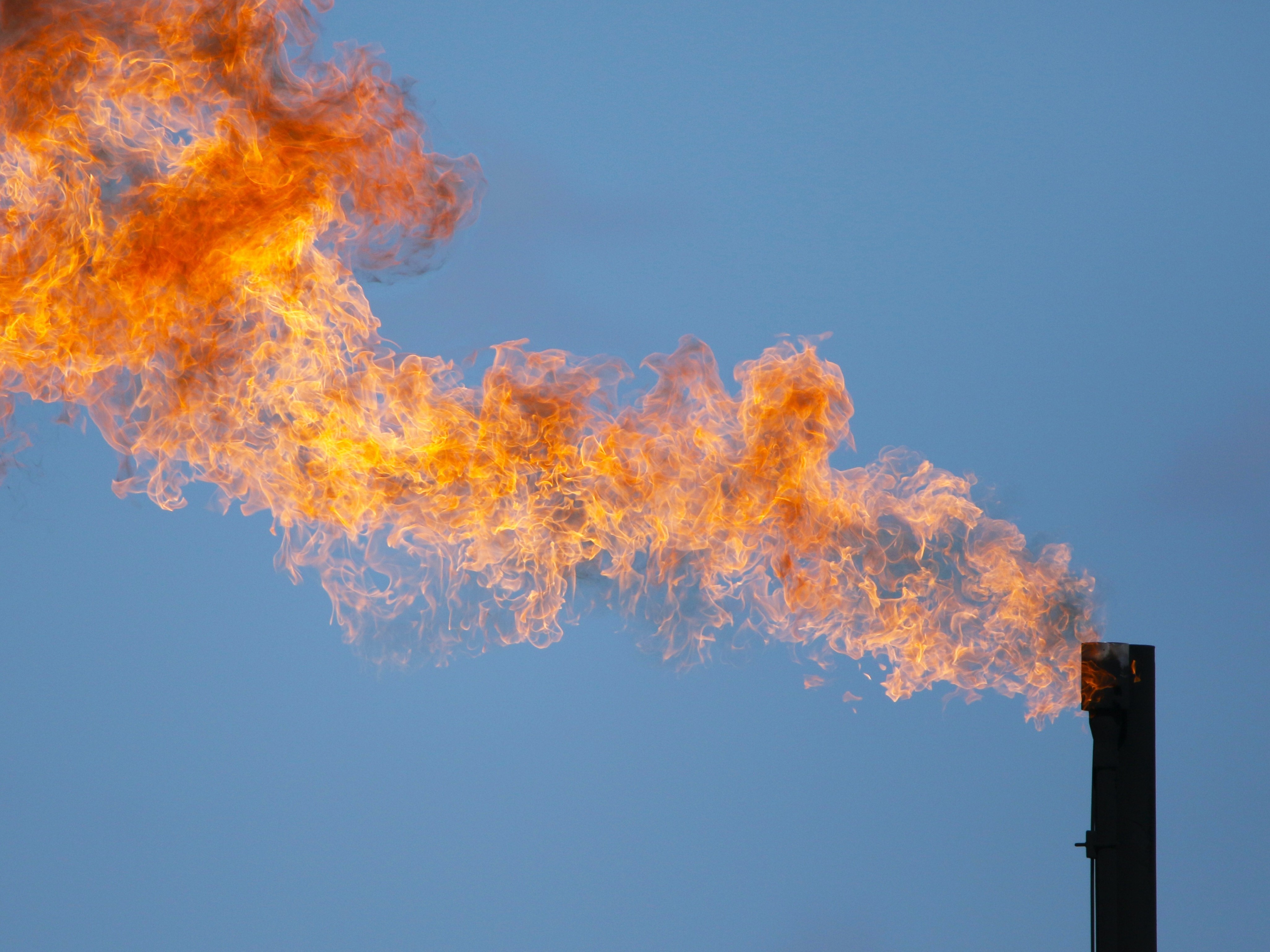 OPEP+ e a Ilusão do Aumento: Por Que a Produção Real de Petróleo Despenca e o Que Isso Significa Para Você