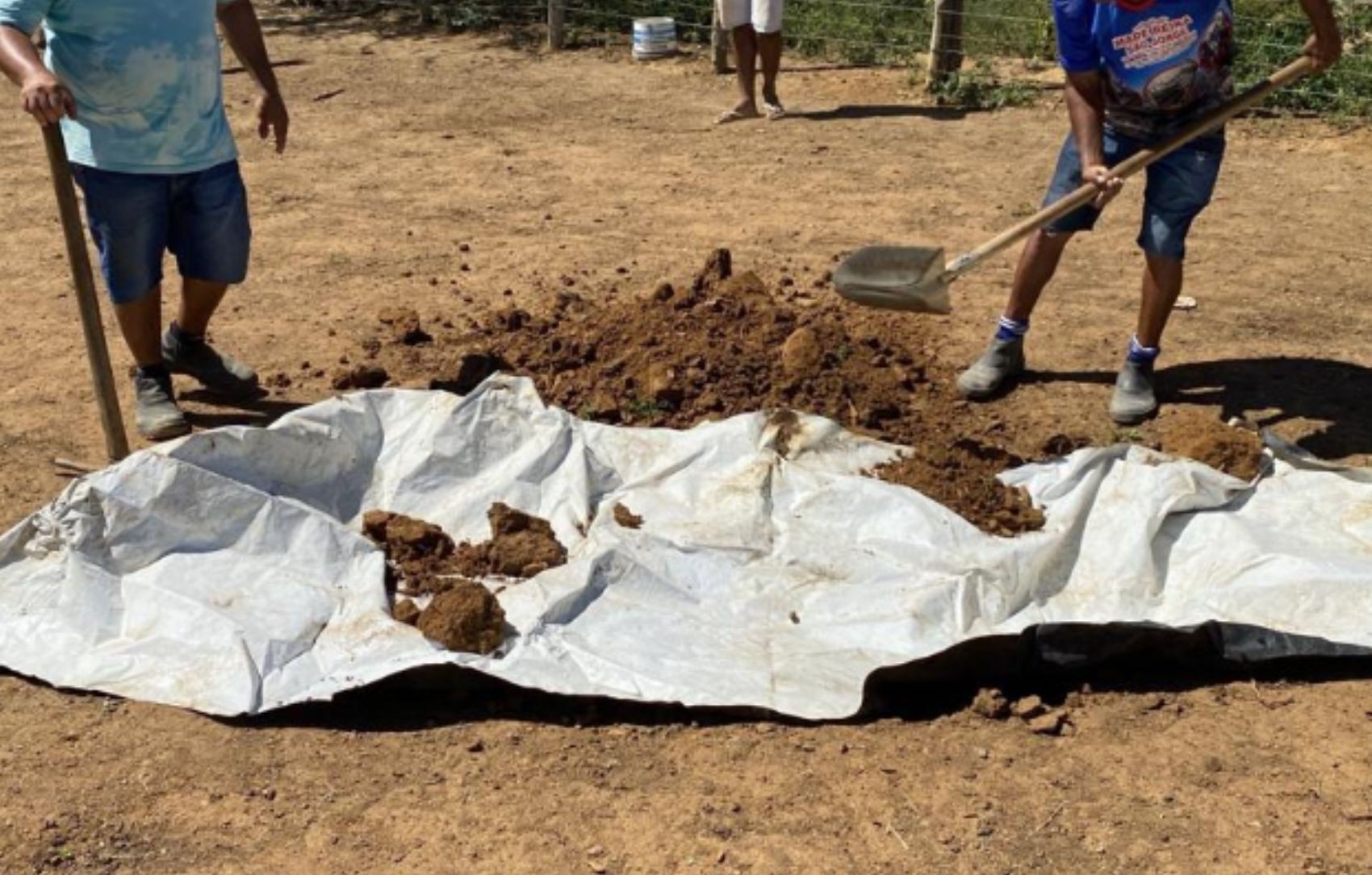 Violência Familiar no Campo: O Caso Frei Paulo e os Desafios da Segurança Rural em Sergipe