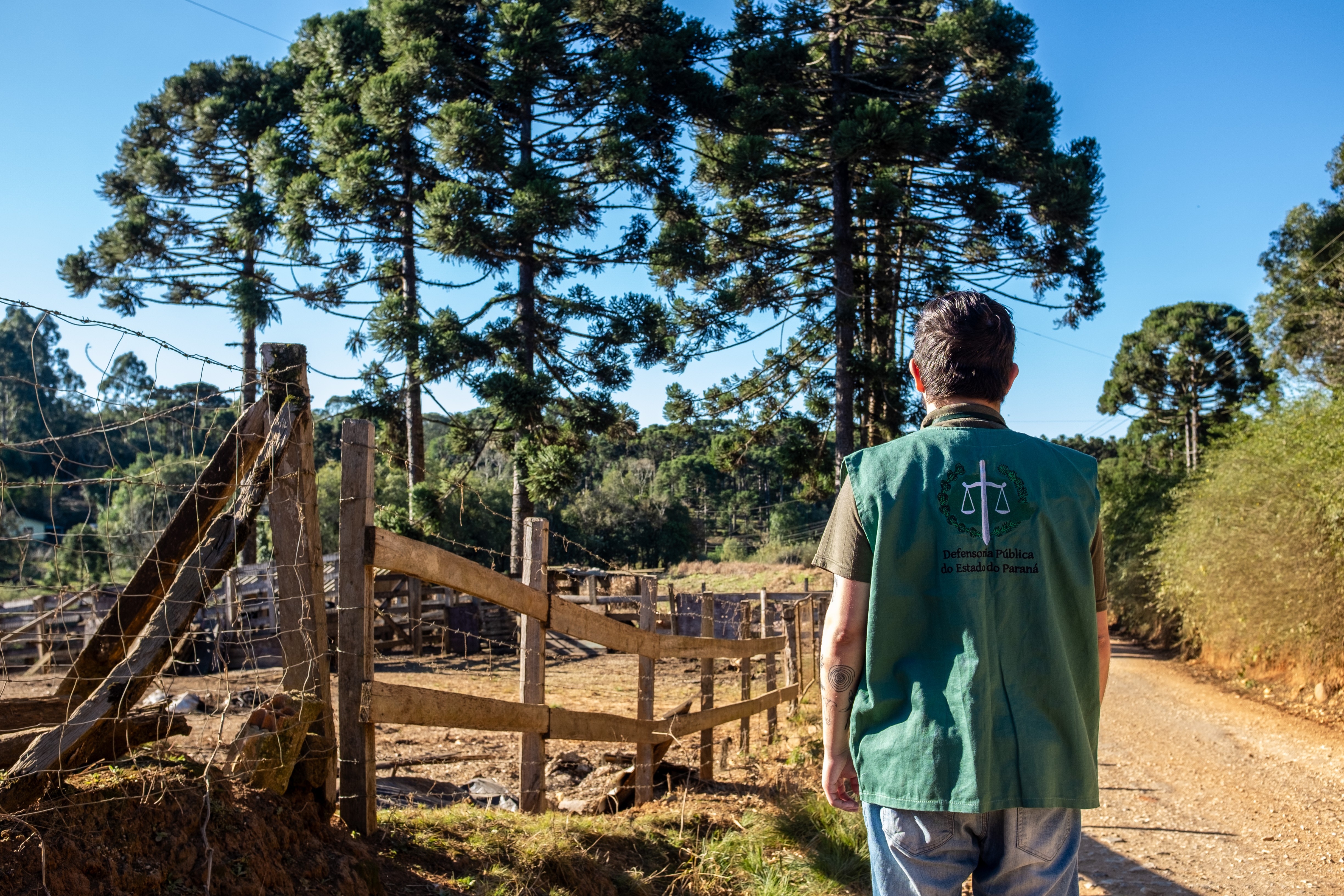 Vulnerabilidade Legal no Paraná: O Caso de Ponta Grossa e a Luta por Justiça