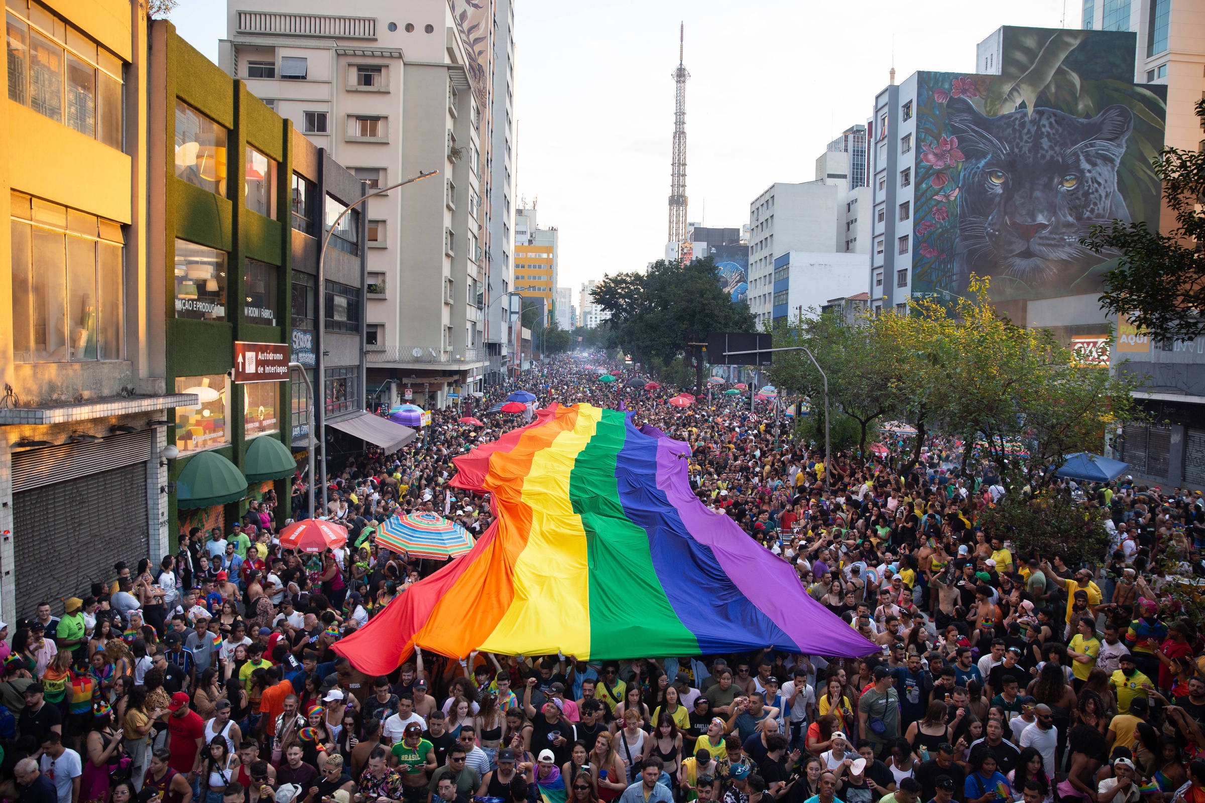 Descriminalização e Redução de Danos: A Parada LGBT+ Impulsiona Debate Crucial para a Saúde Pública