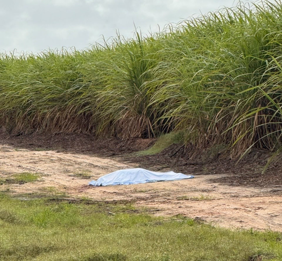 A Fragilização da Ordem Pública: O Envolvimento de Agentes da Lei em Sequestro e Morte em Alagoas