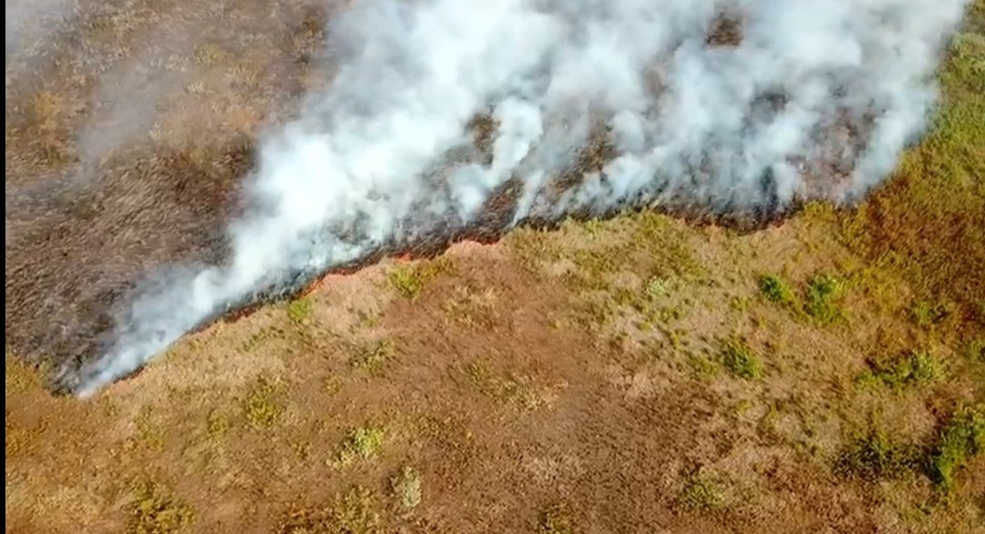 Mato Grosso sob Risco Climático: Análise Exclusiva do Período Proibitivo de Queimadas e o Alerta de Seca em 2026