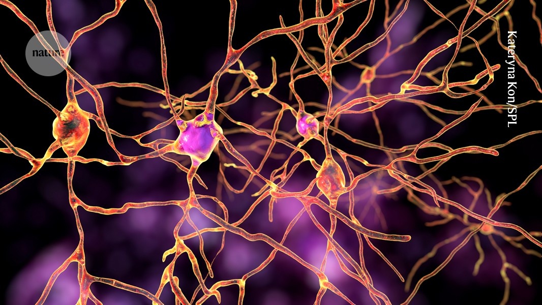 Revolução Neurológica: Terapia Gênica Personalizada Erradica Crises de Epilepsia Severa em Crianças