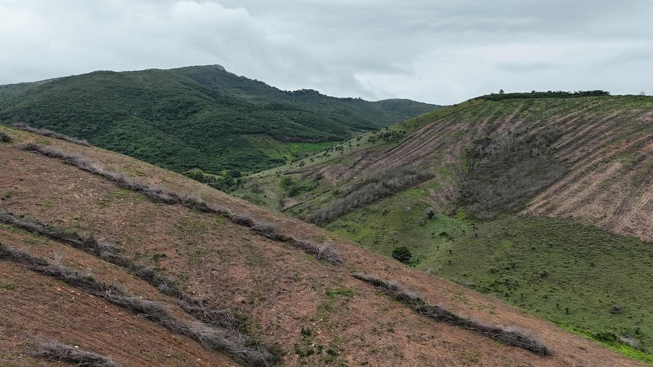 Mega-Desmatamento em Alagoas: Prisão da PF Revela Padrão de Devastação e Contaminação no Coração da Caatinga