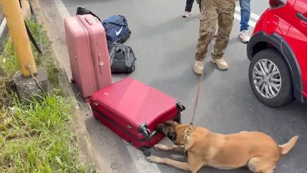 Apreensão de Fuzis na Dutra Expõe Rota Crucial do Armamento Ilegal e Impacta Segurança Regional