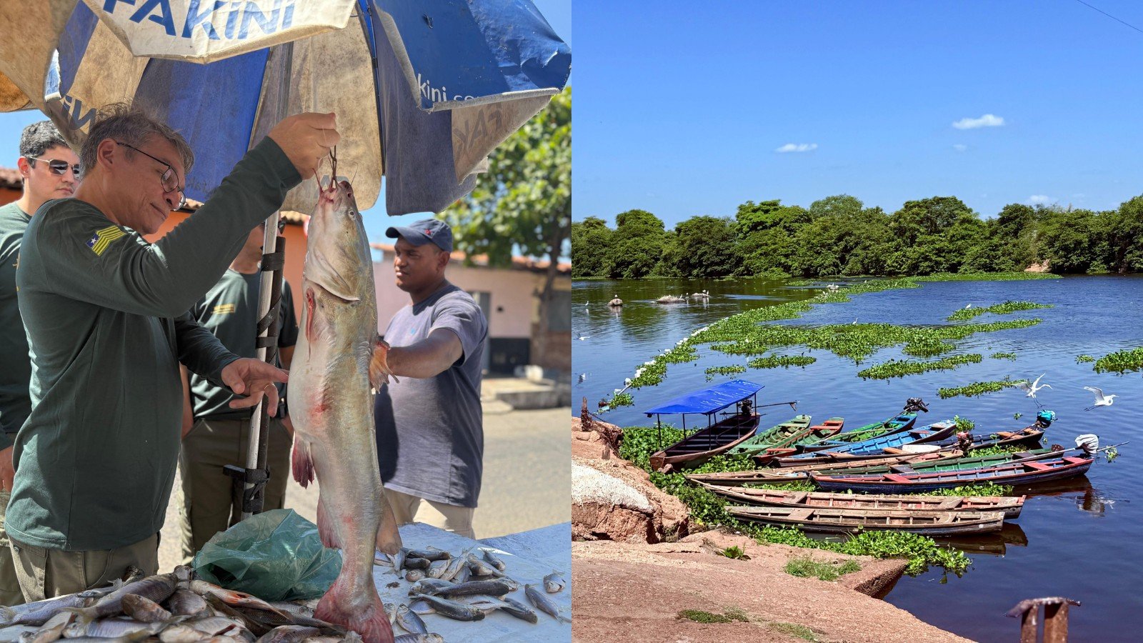Piracema no Piauí: 70 kg de peixes apreendidos e R$ 40 mil em multas por pesca ilegal
