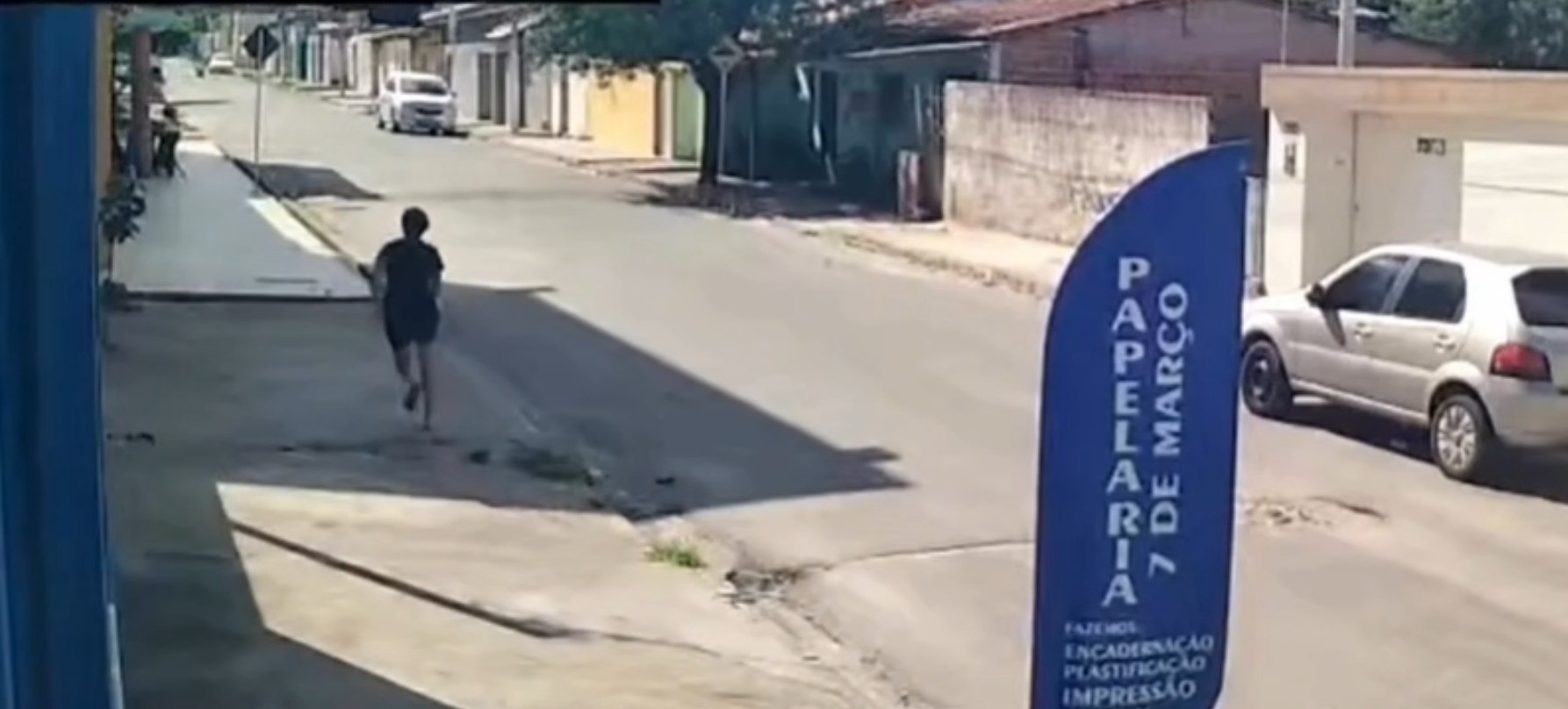 Arapiraca sob a Lupa: Ataque de Pitbull Escancara Desafios da Guarda Responsável e Segurança Comunitária