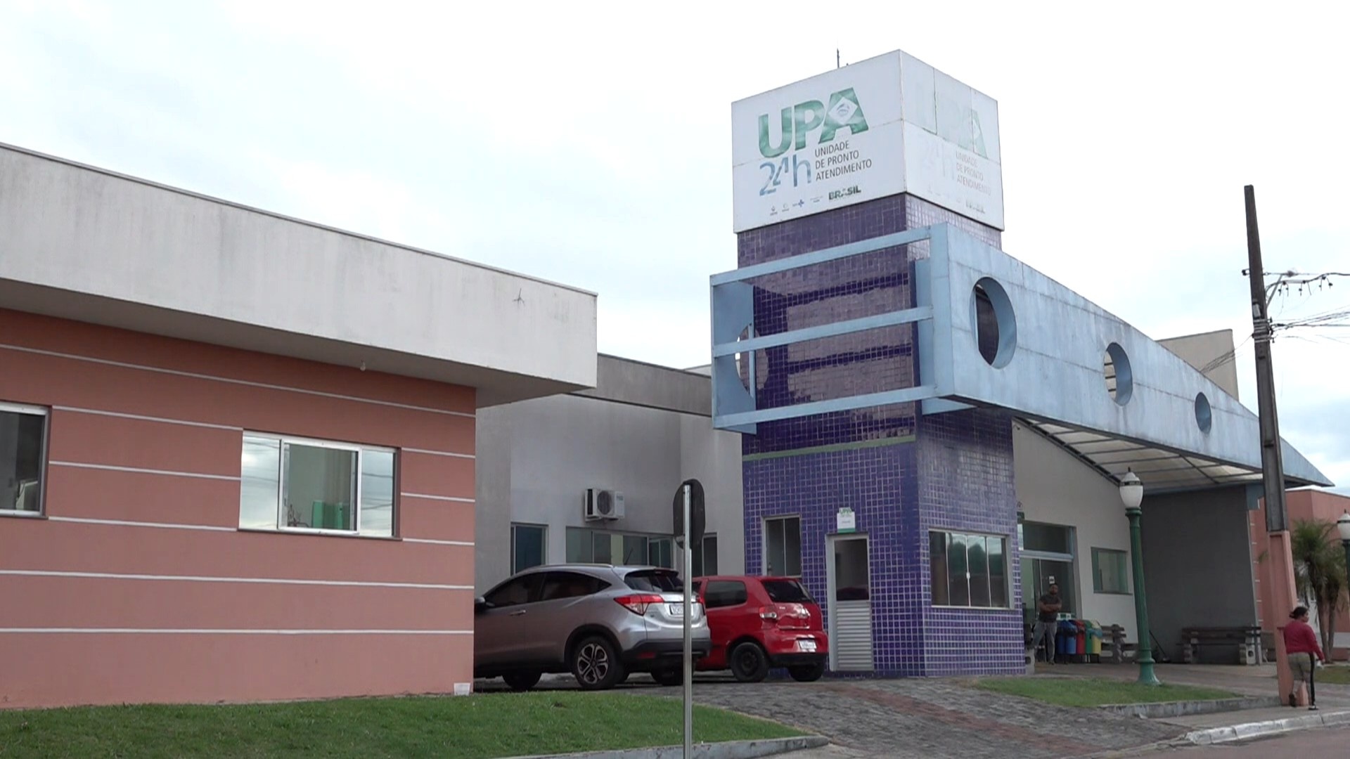 A Tragédia do Cão Comunitário em Castro: Um Espelho para a Coexistência Urbana e a Conduta Pública